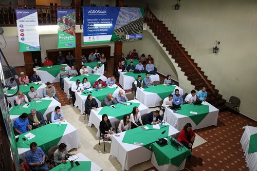 El ICA participa en la aplicación de tecnologías para garantizar la calidad del aguacate Hass El ICA participa en la aplicación de tecnologías para garantizar la calidad del aguacate Hass