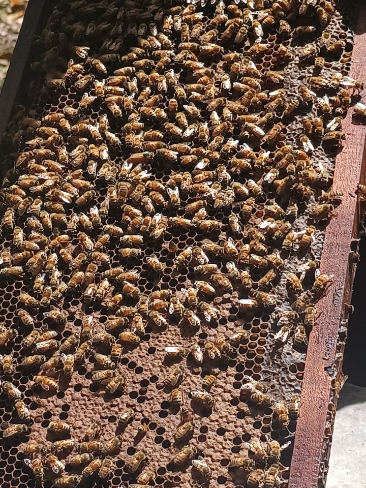 ICA-ABEJA-200520255.jpeg
