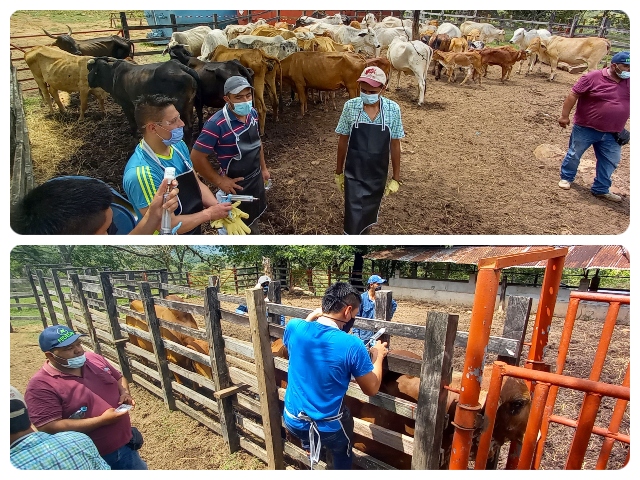 Foto-ICA-Vacunadores-Cundinamarca-2.jpg