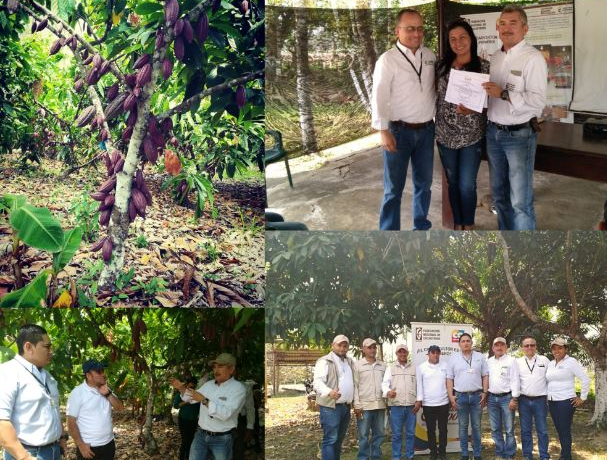 Cacaocultores de Arauca se certifican en Buenas Prácticas Agrícolas