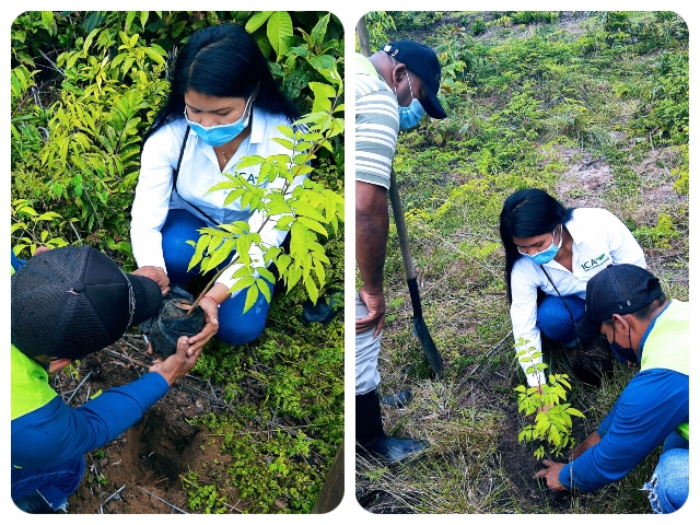 FOTO-ICA-Guainia-dia-del-arbol.jpg