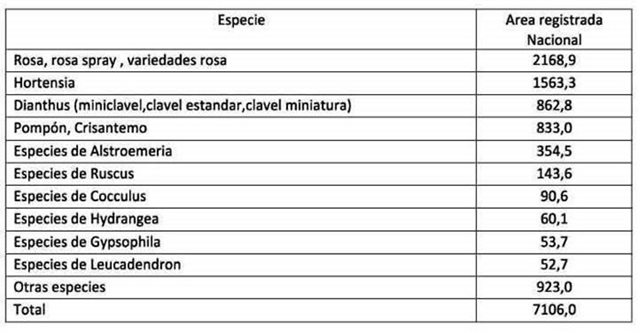 El ICA alerta a floricultores para que eviten las plagas y fortalezcan las exportaciones