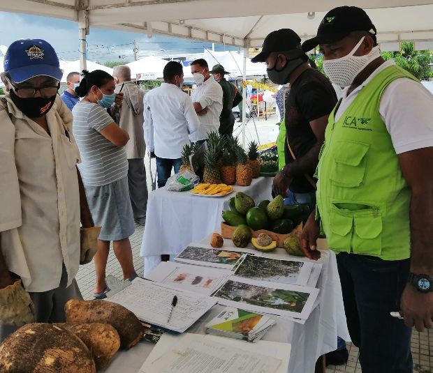 Foto-ICA-mercado-campesino-Bolivar.jpg Foto-ICA-mercado-campesino-Bolivar.jpg