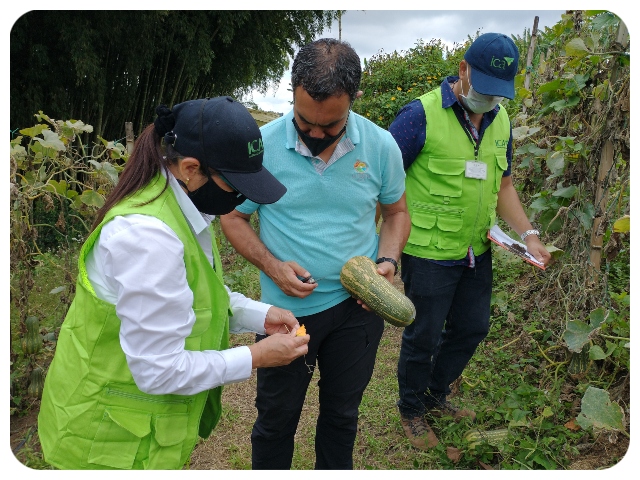 FOTO-ICA-Valle-del-Cauca-3.jpg