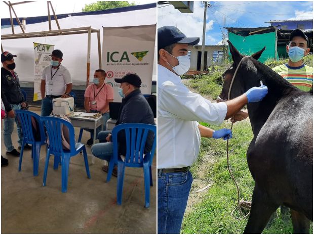 Foto-ICA-brigada-pecuaria-en-La-Plata-Huila-2.jpg