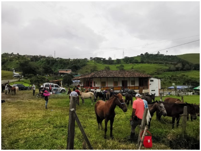 Foto-ICA-Vacunacion-equina-Web.jpg Foto-ICA-Vacunacion-equina-Web.jpg
