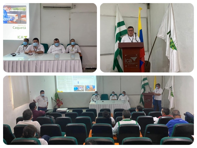 Foto-ICA-Rendicion-de-cuentas-Caqueta-2020.jpg Foto-ICA-Rendicion-de-cuentas-Caqueta-2020.jpg