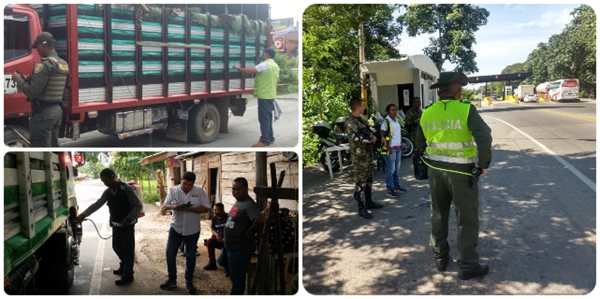 Medidas adicionales del ICA para proteger las plantaciones de plátano y banano Medidas adicionales del ICA para proteger las plantaciones de plátano y banano