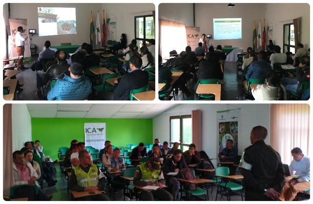 En Nariño, el ICA capacita en normatividad que regula entrega de aves de postura en proyecto de seguridad alimentaria