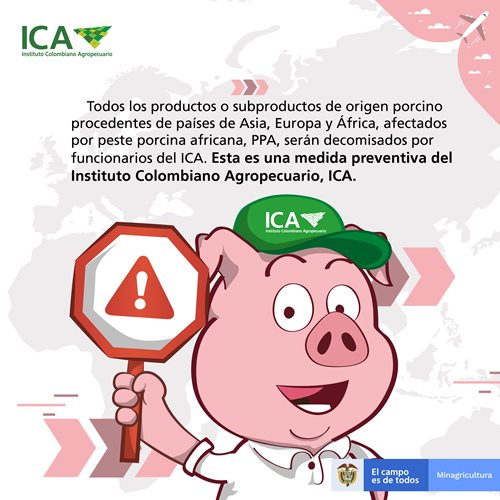 Países de Asia, Europa y África, reportan nuevos casos de peste porcina africana, PPA, ante la OIE