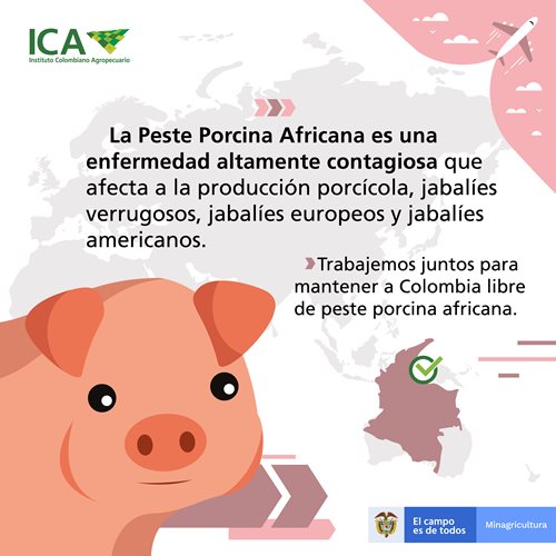 Países de Asia, Europa y África continúan reportando ante la OIE focos de peste porcina africana Países de Asia, Europa y África continúan reportando ante la OIE focos de peste porcina africana