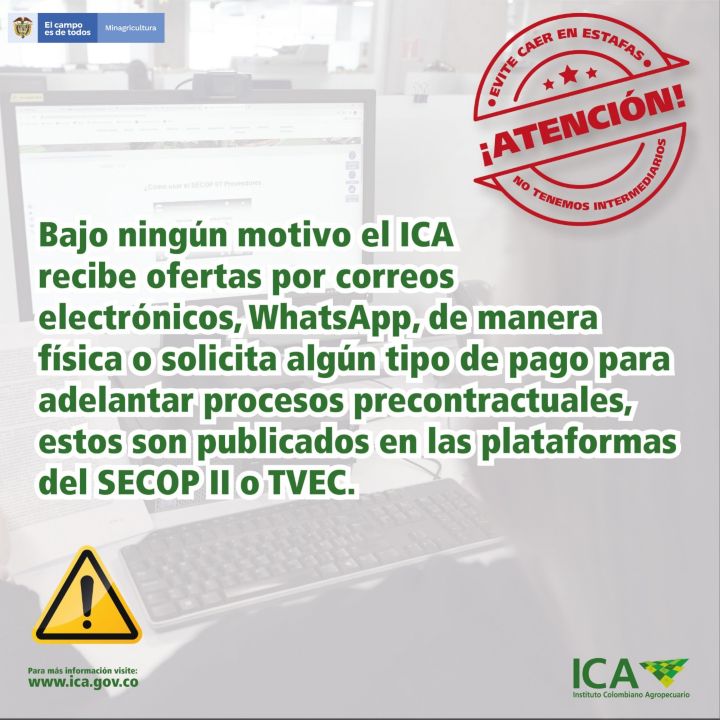 estafas-720.jpg