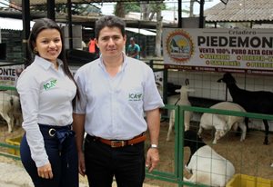 Feria-Ovino-Caprina-de-Ibague-2.JPG