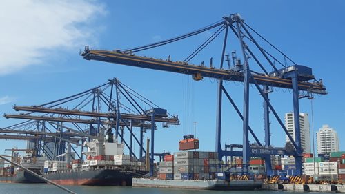 Hoy sale el primer cargamento de carne de cerdo colombiano hacia el mercado de Angola
