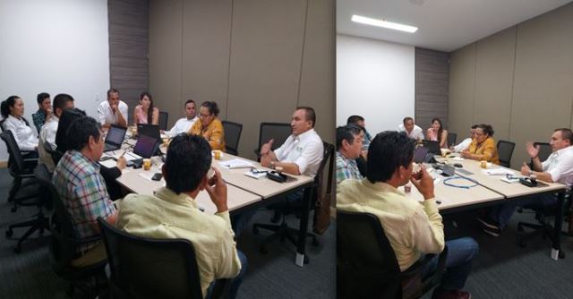 Productores de piña del Casanare buscan conquistar los mercados internacionales