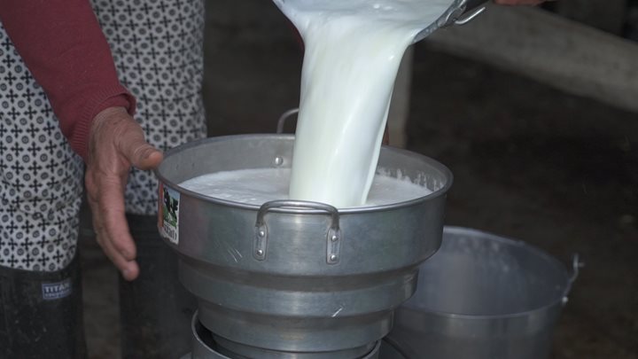 Leche-Gacheta1-1.jpg
