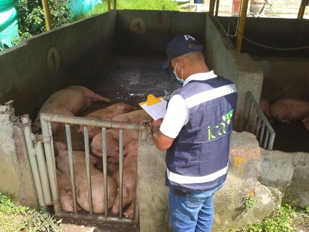 Foto-ICA-supervision-planta-beneficio-animal-Cauca-2.jpg Foto-ICA-supervision-planta-beneficio-animal-Cauca-2.jpg