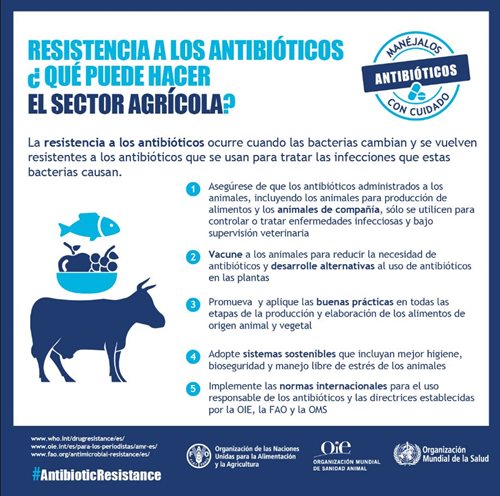 INFOGRAFIA-OIE.JPG