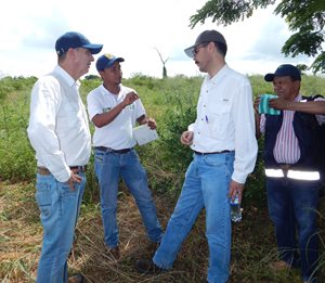 HLB-Atlantico-01-1.JPG