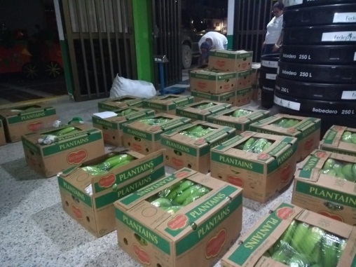 archivo_platano_2-1.jpg archivo_platano_2-1.jpg