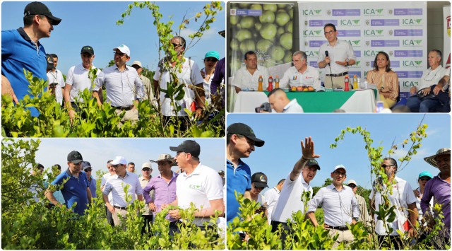 FOTO-COLLAGE-ICA-ATLANTICO-TALLER-HLB.jpg