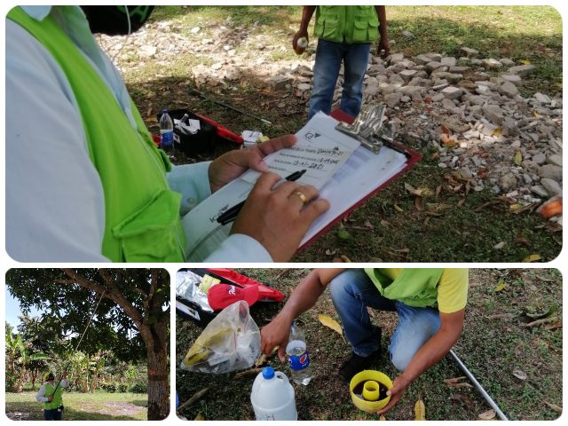 En Bolívar, el ICA realiza servicios de rutas de monitoreo para moscas de la fruta nativas y exóticas 