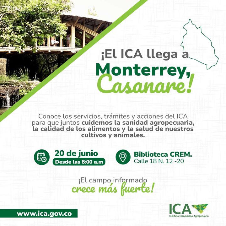 MONTERREY.jpeg