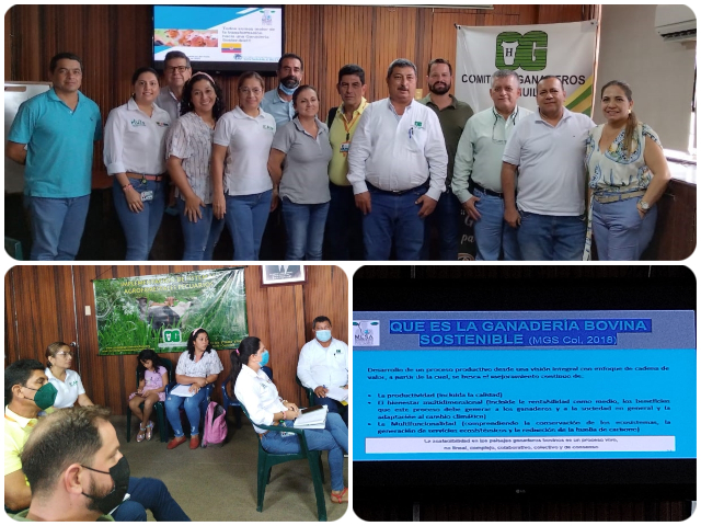 El ICA trabaja por una ganadería sostenible en el Huila
