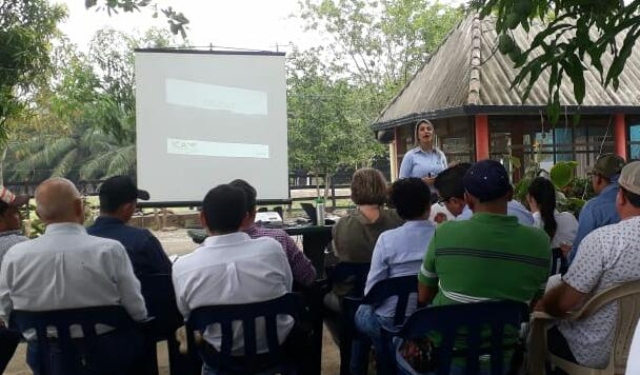 Cultivadores de palma de aceite, en el Cesar, se capacitan para mejorar la producción