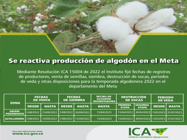 Foto-ICA-Fechas-de-siembra-algodon-1.jpg