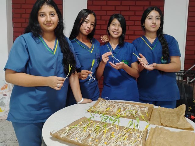 Participantes en la jornada. 