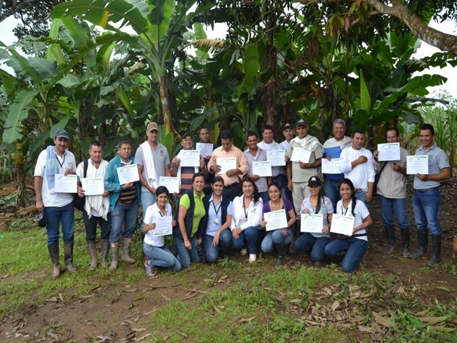 El ICA capacitó a productores de plátano en Guaviare