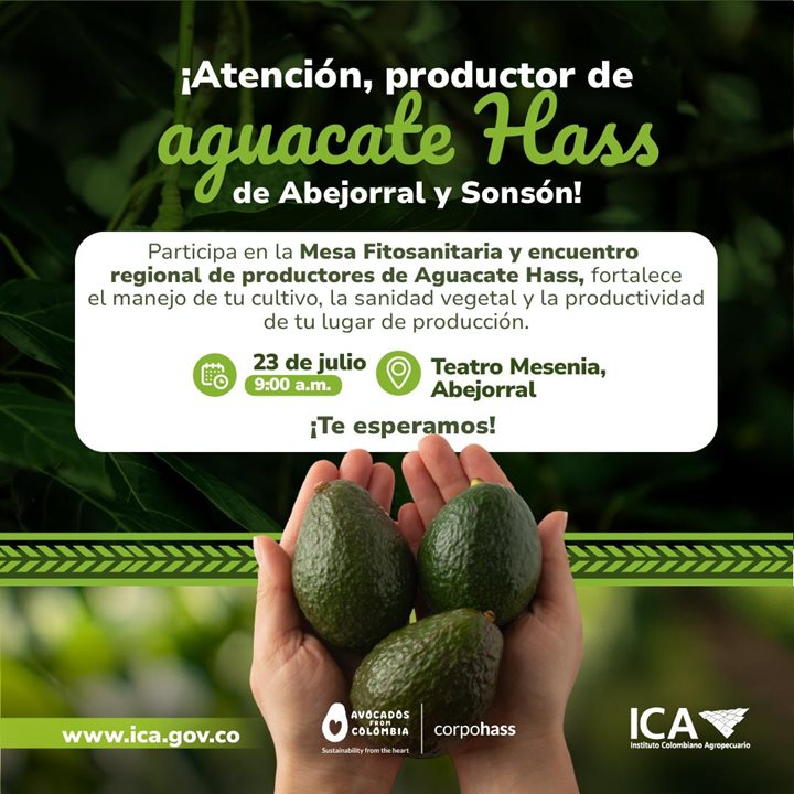 AGUACATE-ANTIOQUIA.jpeg