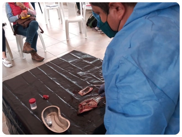El ICA capacitó a productores acuícolas y personal técnico en el Quindío 
