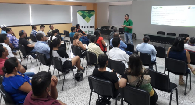 El Huila se encuentra libre del HLB de los cítricos