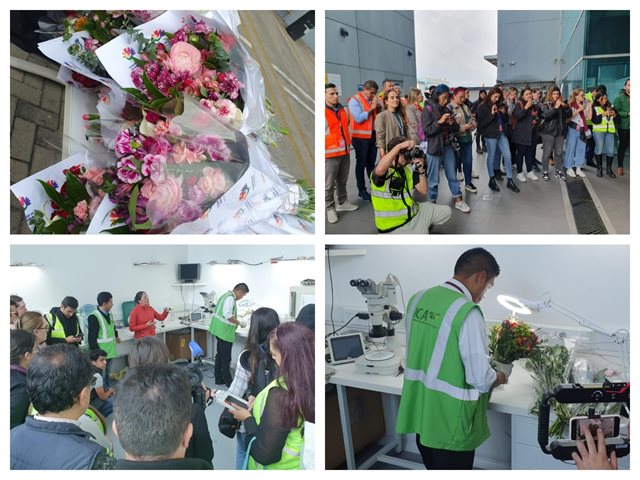 Flores colombianas se exportan en San Valentín. 