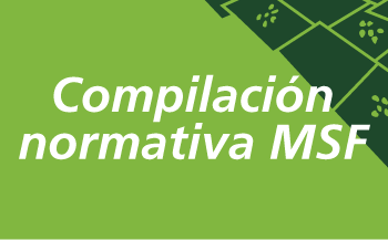 Compilación MSF