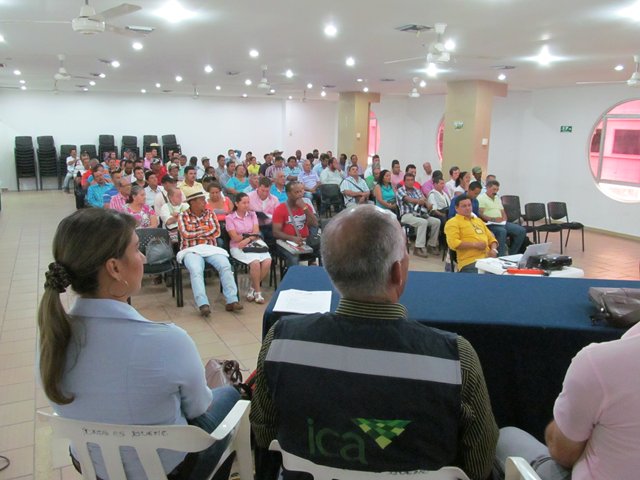 El ICA socializó con palmicultores de Santander las nuevas medidas para el manejo de la palma de aceite