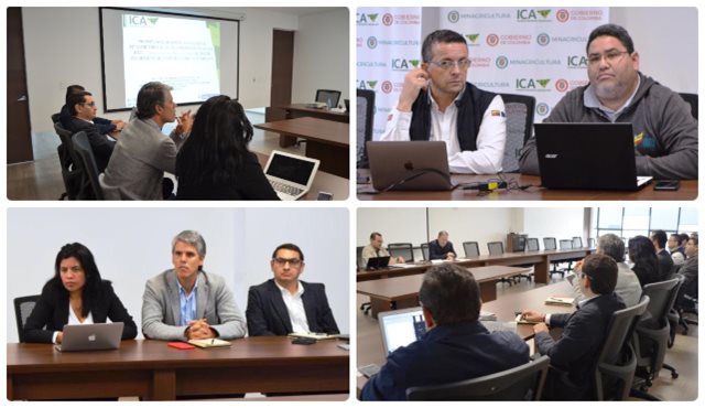 El ICA, gremios y productores de aguacate Hass trabajan en equipo para ampliar las exportaciones a Los Estados Unidos  