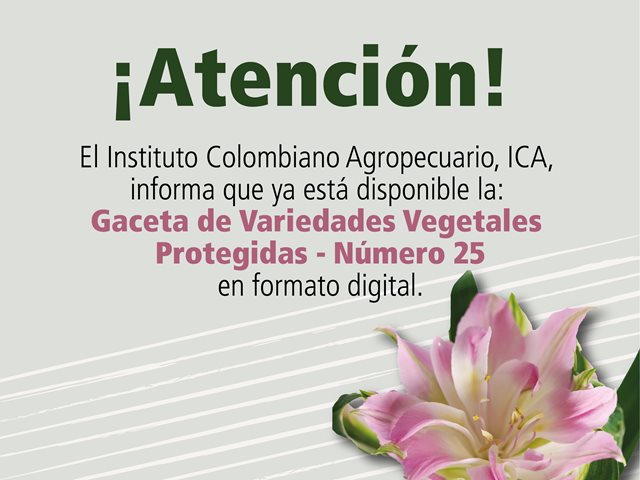 Pieza de promoción.