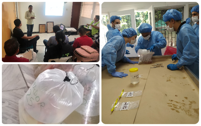 El ICA trabaja por mejorar los servicios de los laboratorios de diagnóstico veterinario 