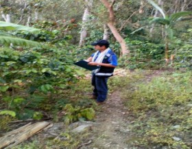 foto-evaluacion-en-cultivo-finca-el-juaguito-esmeralda-aguachica.jpg