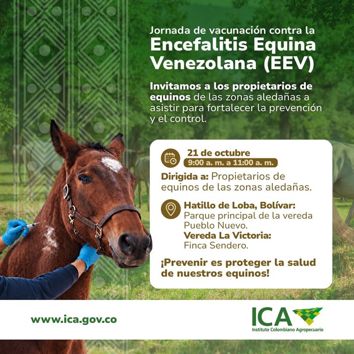 ICA-EEV.jpeg