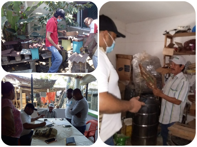  Visitas a productores apícolas 