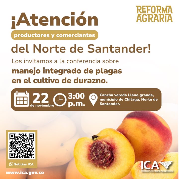 ICADURAZNO.jpg