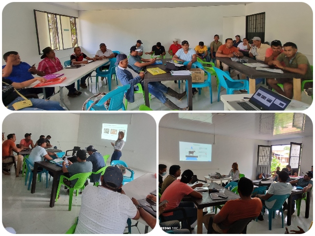 Vacunadores de Vichada, listos para iniciar ciclo de vacunación anti aftosa 