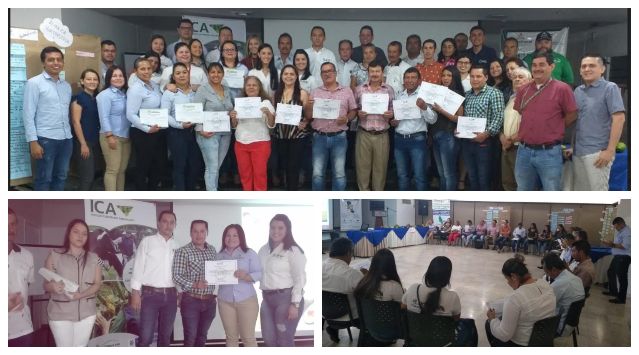 11 productores nortesantandereanos certificaron sus predios en Buenas Prácticas Agrícolas 