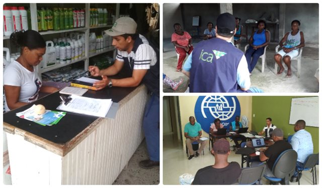 El ICA fortalece la sanidad animal en el Cauca