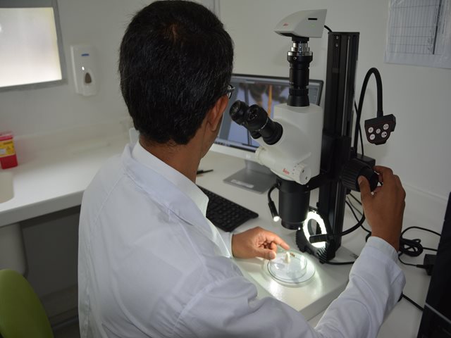 El Laboratorio de Diagnóstico Fitosanitario del ICA en Atlántico,  en equipo con los productores 