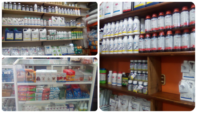 El ICA vigila la comercialización de insumos agropecuarios y semillas en el Chocó